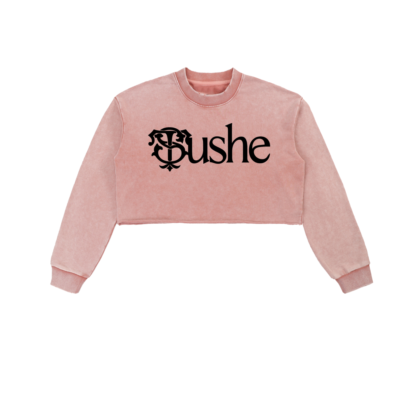 Snow Washed Raw Edge Cropped Sweatshirt