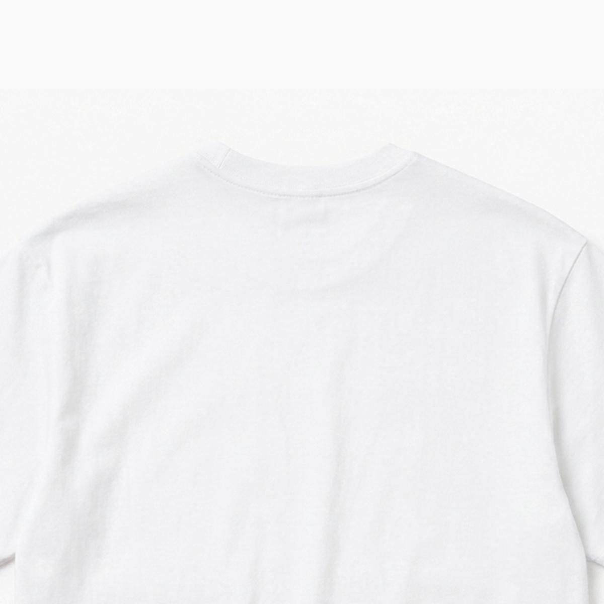 Stush — Heavyweight Embroidery Crew (Colorway II)