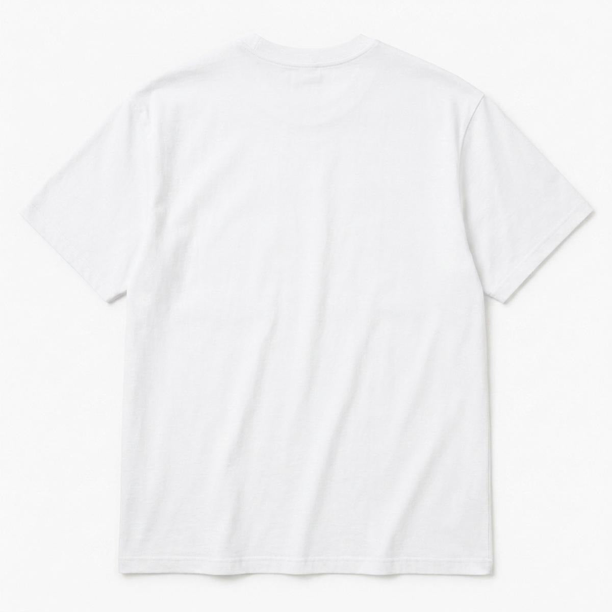Stush — Heavyweight Embroidery Crew (Colorway I)