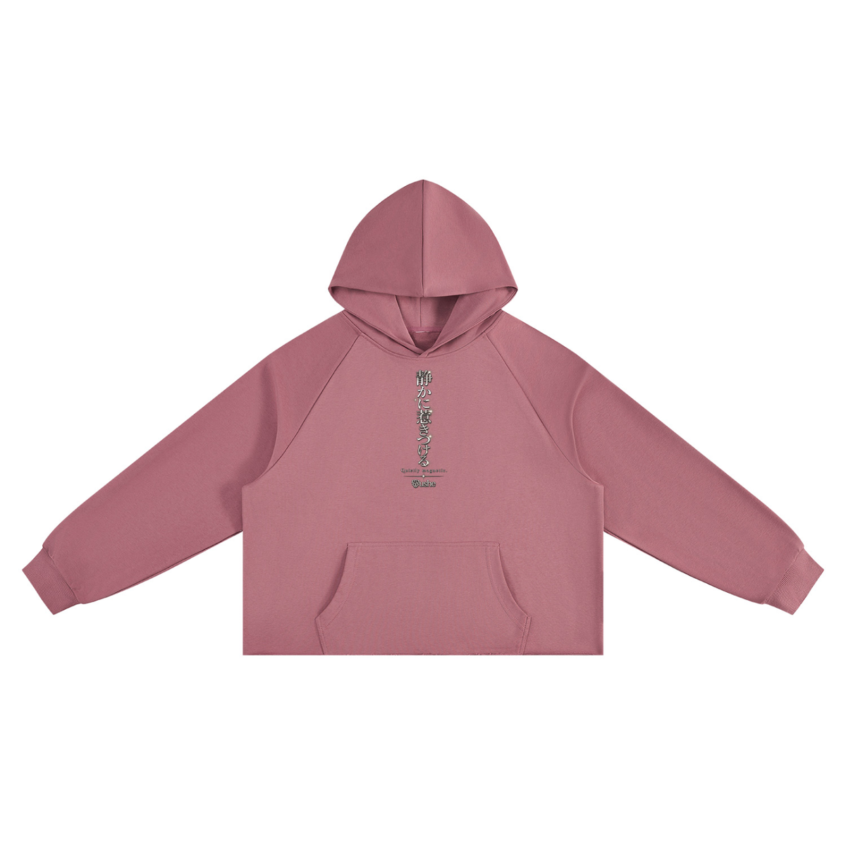 STUSH Raw Intentions Boxy Hoodie
