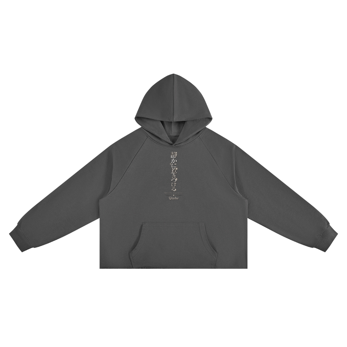 STUSH Raw Intentions Boxy Hoodie