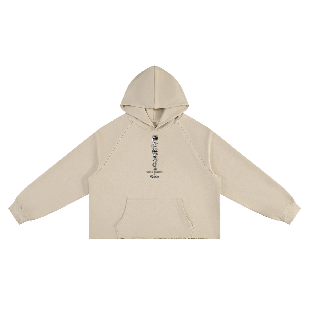 STUSH Raw Intentions Boxy Hoodie