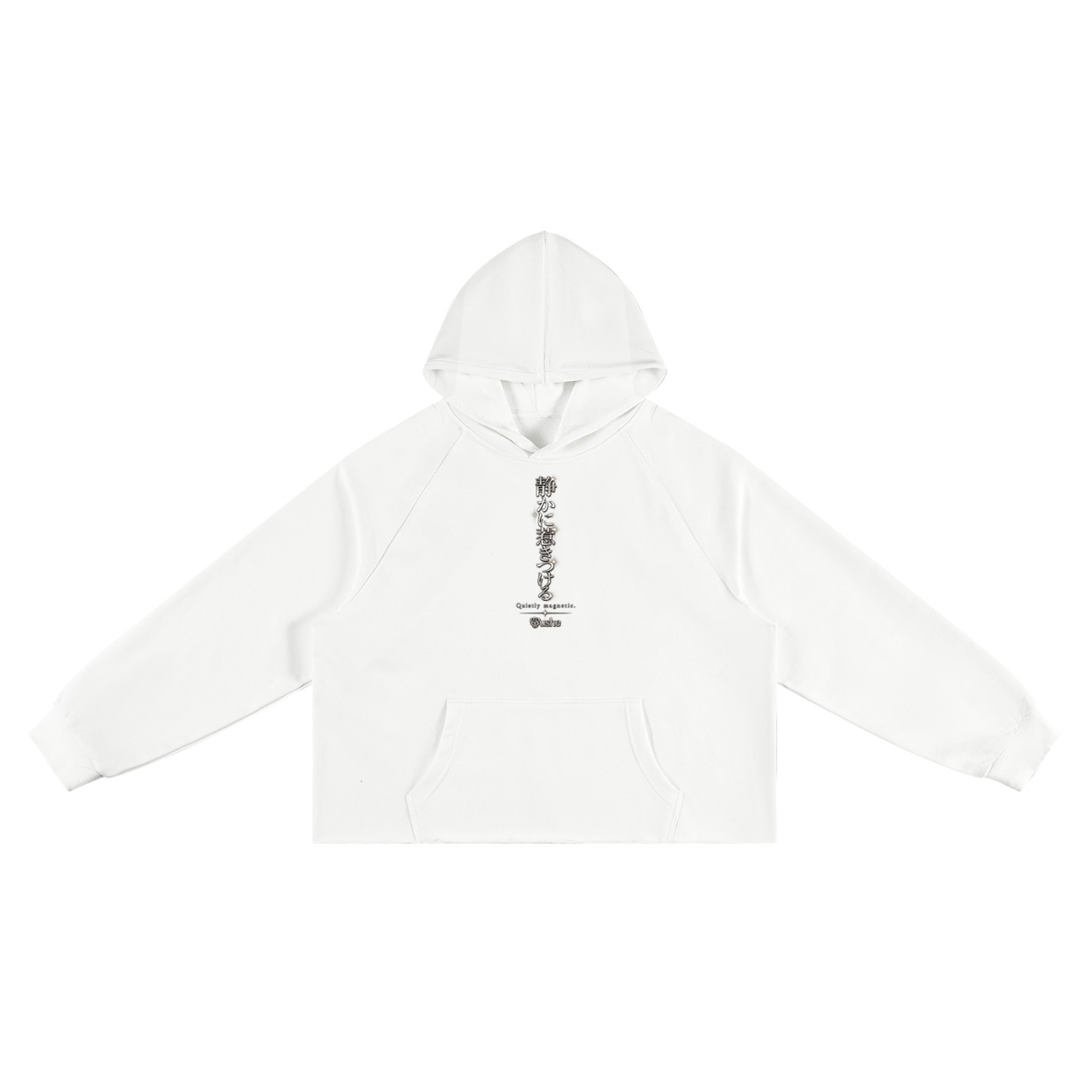 STUSH Raw Intentions Boxy Hoodie