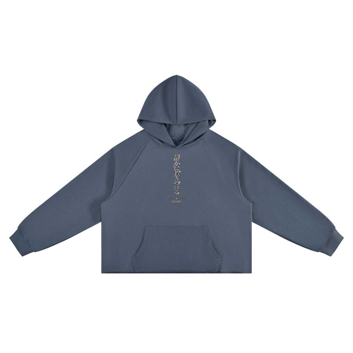 STUSH Raw Intentions Boxy Hoodie